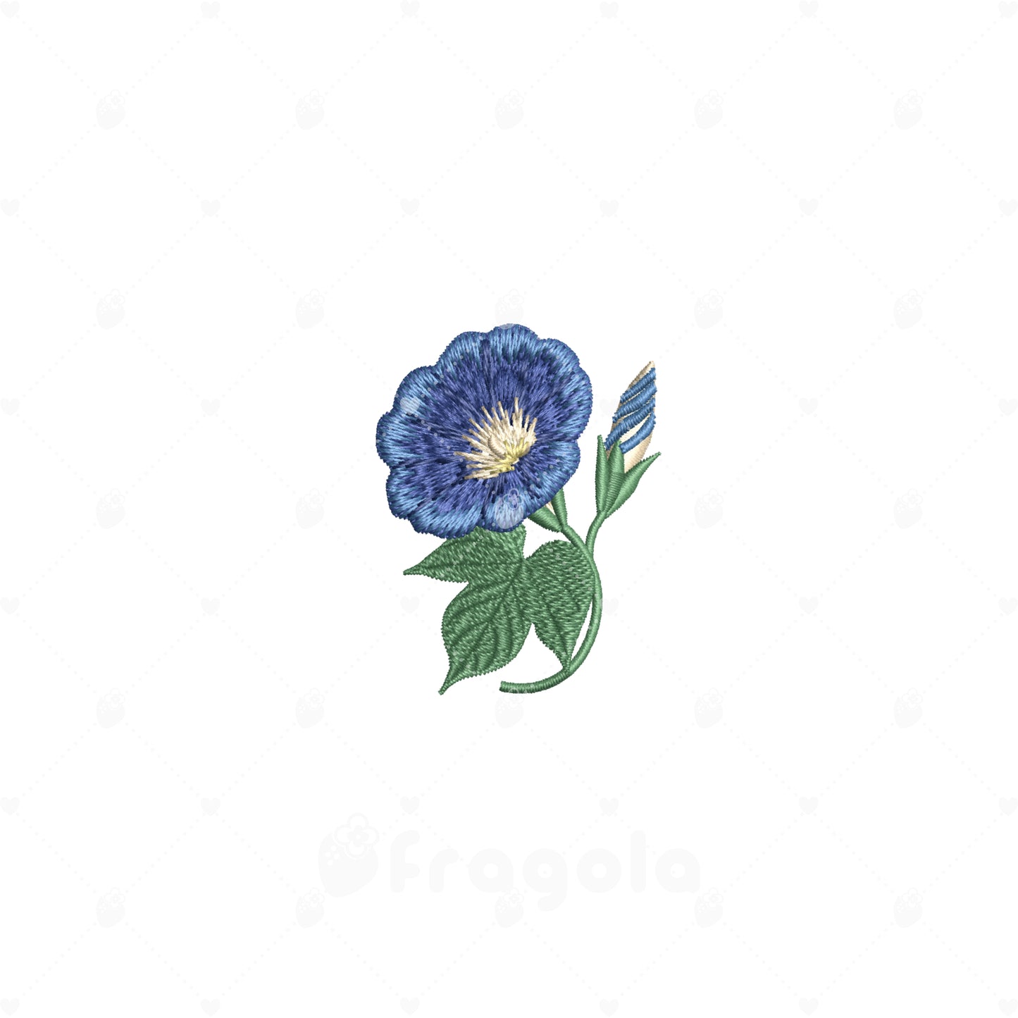 あさがお
