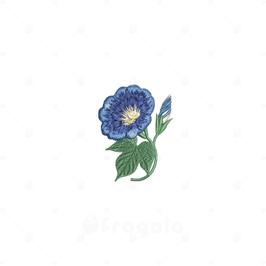 あさがお